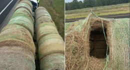 Alleged human smugglers arrested in Texas after hiding migrants inside hollowed hay bales