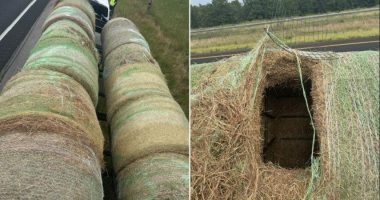Alleged human smugglers arrested in Texas after hiding migrants inside hollowed hay bales