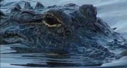 Alligators, snakes, biting insects: Small plane crash survivors recall 36-hour ordeal