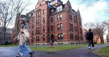 Americans are divided over DEI programs on college campuses, an AP-NORC poll finds