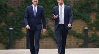 Americans reveal what they really think of Prince Harry