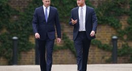 Americans reveal what they really think of Prince Harry