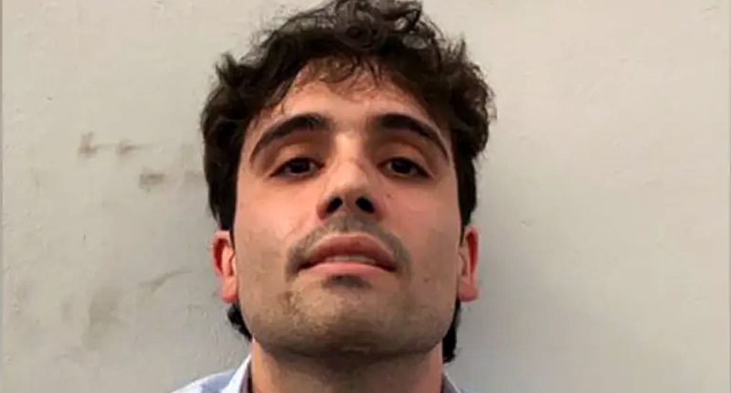 America's refusal of world leaders' visas tied to El Chapo's son plea