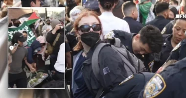 Anti-Israel mob descends on Brooklyn College in NYC as agitators brawl with police, get tased