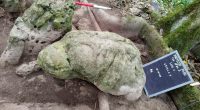 Photo of two anthropomorphic sculptures unearthed at an archeological site.