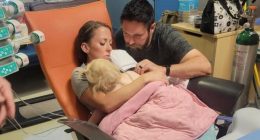 Arizona toddler recovers from 2 rattlesnake bites