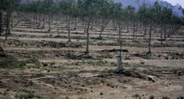 Arizona's rural groundwater deal stalls as legislative session nears end