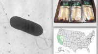 At least 10 people sickened in US listeria outbreak linked to prepared foods