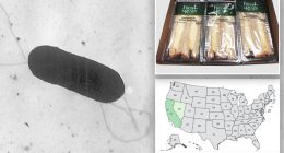 At least 10 people sickened in US listeria outbreak linked to prepared foods