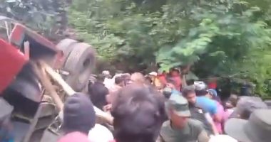 A crowd of people surrounding a tipped-over truck in a wooded area.