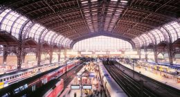 High-angle view of Hamburg Hauptbahnhof in Germany, with trains at the platforms and many people.