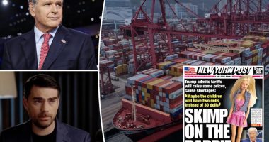 Ben Shapiro, Sean Hannity warn of tariff pain after Trump remarks on toys