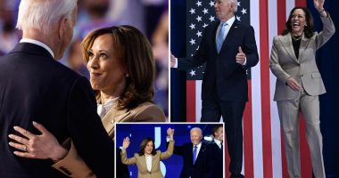 Biden 'totally f--ked' Kamala Harris' 2024 election chances by refusing to drop out sooner: top adviser