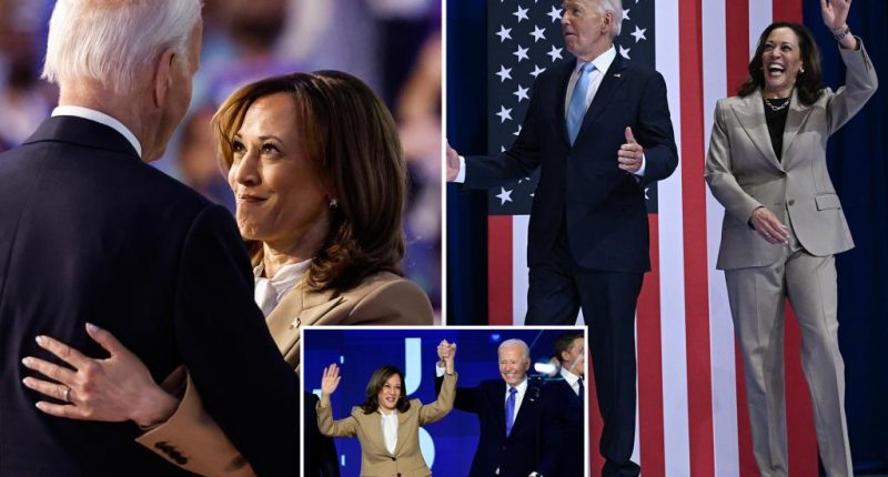 Biden 'totally f--ked' Kamala Harris' 2024 election chances by refusing to drop out sooner: top adviser