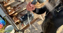 BougeRV water heater review: hot showers to go