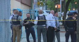 Boy, 14, charged with murder after Bronx teen killed in suspected gang crossfire