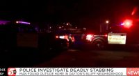 Boy, 14, describes stabbing man to death in journal: Cops