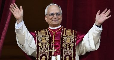 British cardinal reveals Pope Leo's reaction upon being elected