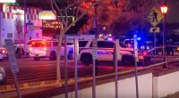 Police cars at a Glendale, Arizona shooting scene.