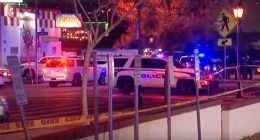 Police cars at a Glendale, Arizona shooting scene.