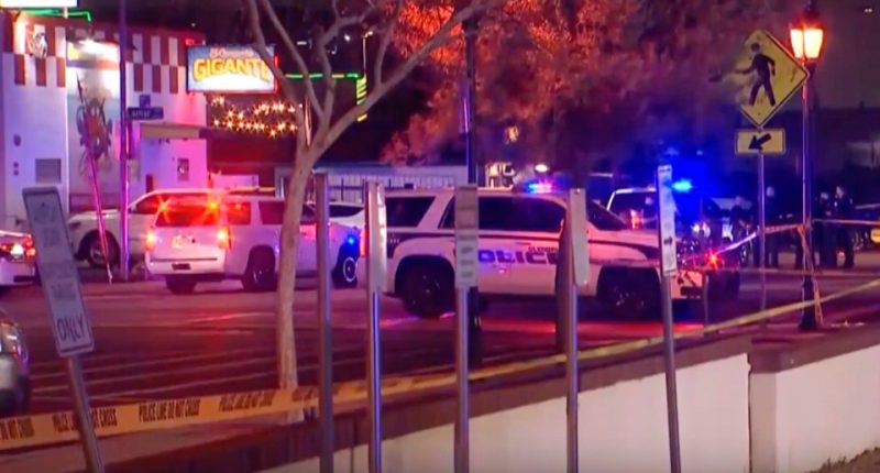 Police cars at a Glendale, Arizona shooting scene.