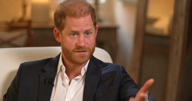 Buckingham Palace releases statement after Prince Harry's interview