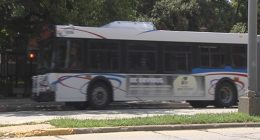 Bus stop near Market Place Mall could be looking at new routes