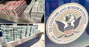 CBP seizes massive haul of 150,000 illegal cigarettes from cruise passengers in California