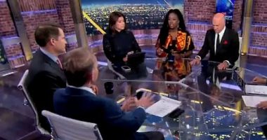 CNN guest stuns studio with claim about white South African refugees
