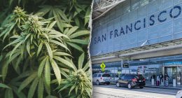 California woman allegedly tried to smuggle 151 pounds of marijuana onto international flight