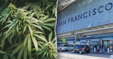 California woman allegedly tried to smuggle 151 pounds of marijuana onto international flight