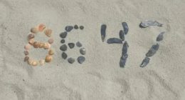 Seashells arranged to form the numbers 8647 in the sand.