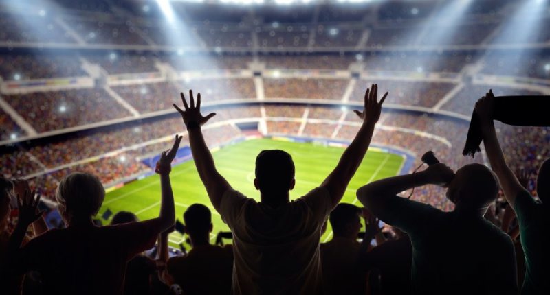 Silhouette of cheering fans in a stadium.