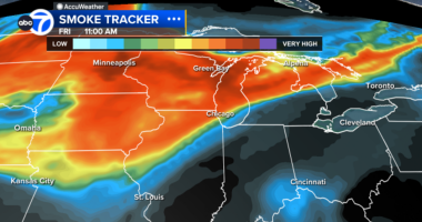 Canadian wildfire smoke headed toward Chicago, could leave smokey skies for weekend forecast