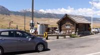 Cape Coral, Florida man gored by bison at Lake Village, near Yellowstone Lake, in year's first attack at Yellowstone National Park