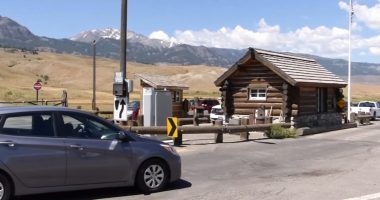 Cape Coral, Florida man gored by bison at Lake Village, near Yellowstone Lake, in year's first attack at Yellowstone National Park