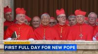 Cardinal Blase Cupich, Archbishop of Chicago, speaks with ABC7 Friday about Vatican City papal conclave, selection of Pope Leo XIV