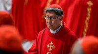 Cardinal who embraced Philippines’ gay Catholics could be the Francis continuity candidate for pope