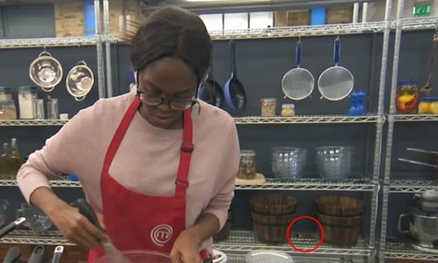 Celebrity MasterChef viewers stunned as they claim   to see a mouse