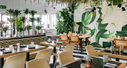 Celebrity hotspot turned restaurant chain files for bankruptcy