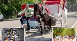 Central Park carriage driver breaks wrist, others injured after two horses break loose