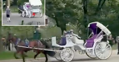 Central Park horse runs wild without driver in shocking video