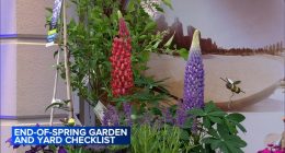 Chalet Horticulturist Jennifer Brennan unveils Chalet Horticulturist Jennifer Brennan unveils end-of-spring gardening playbook