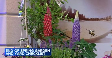 Chalet Horticulturist Jennifer Brennan unveils Chalet Horticulturist Jennifer Brennan unveils end-of-spring gardening playbook