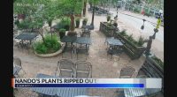 Champaign restaurant asks for help after cameras catch teens damaging property