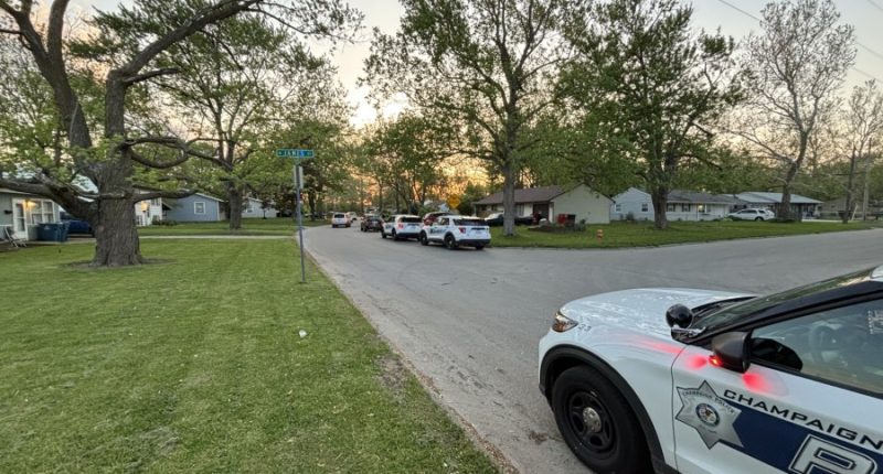 Champaign shooting results in property damage