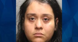Chicago Mom Stabs 7-Year-Old Son Because He Made a Mess in Apartment