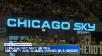 Chicago Sky Foundation looking for small businesses, women-owned businesses to support | Applications open now
