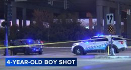 Chicago shooting: 2 in custody after 4-year-old boy shot, critically injured on South Ashland Avenue in McKinley Park: police