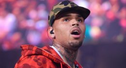 Chris Brown released on bail, tour can continue